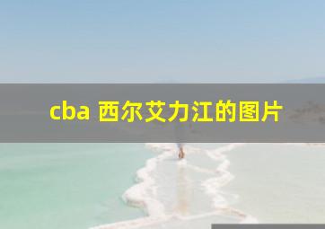 cba 西尔艾力江的图片